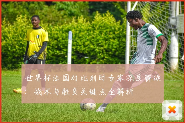 世界杯法国对比利时专家深度解读：战术与胜负关键点全解析