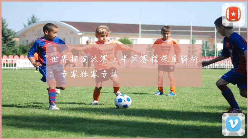 世界杯淘汰赛上半区赛程深度解析：专家独家专访